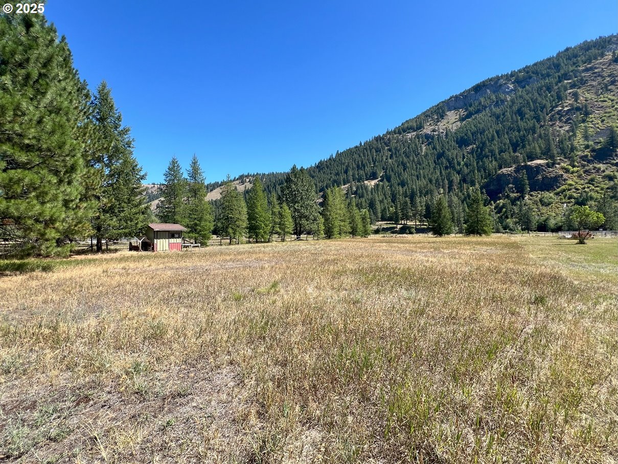 64838 Lostine River Road Lostine, OR 97857 - Photo 3 of 8 a view of large trees with a yard