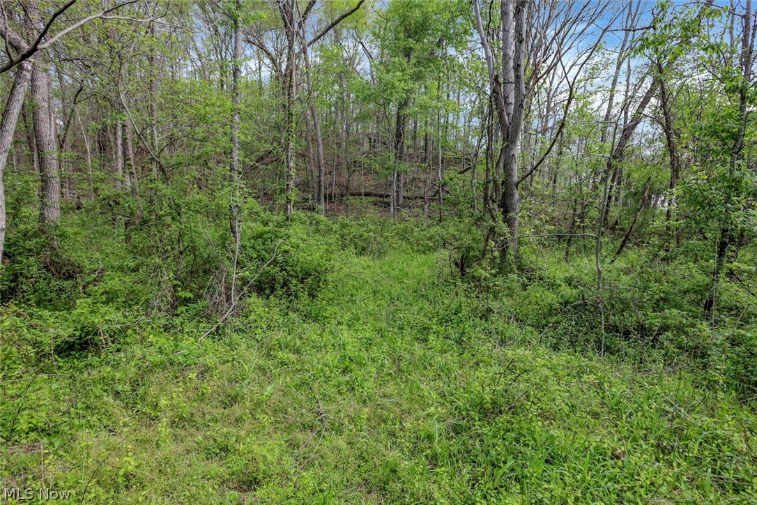 6879 Beard Price Road Glouster, OH 45732 - Photo 25 of 50