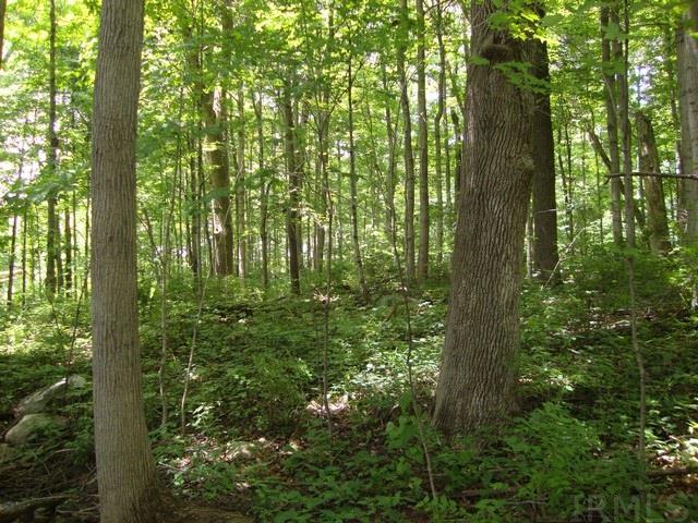 650 North Prairie Road Springport, IN 47386 - Photo 7 of 10 Gallery Image 7