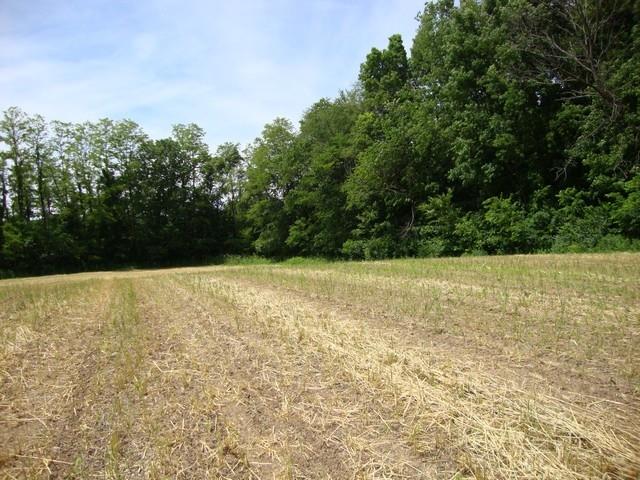 650 North Prairie Road Springport, IN 47386 - Photo 10 of 10 Gallery Image 10