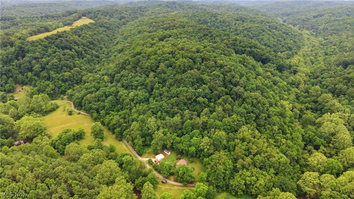 5292 Rolling River Road Cairo, WV 26337 - Photo 12 of 42