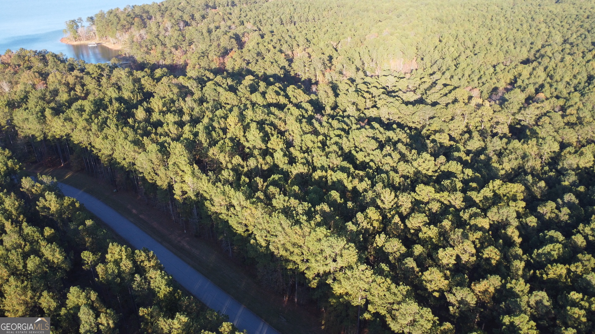 Lot 7 Lighthouse Pointe Lincolnton, GA 30817 - Photo 3 of 15