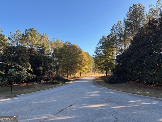 Lot 7 Lighthouse Pointe Lincolnton, GA 30817 - Photo 7 of 15