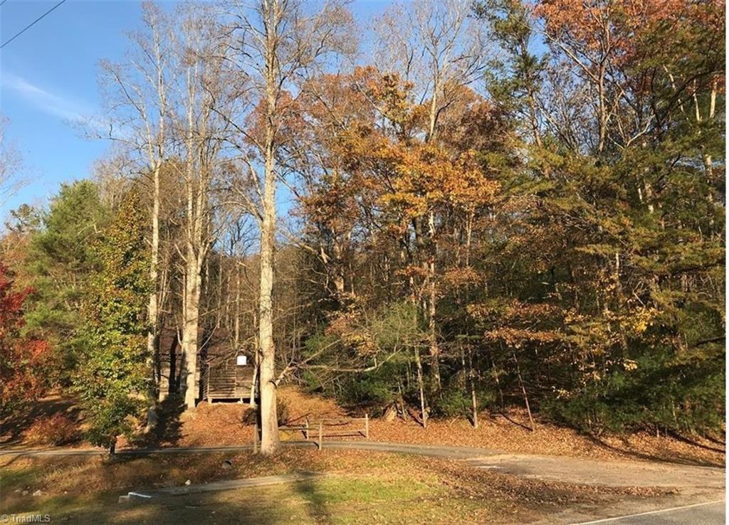 0 Mt Zion Road Ferguson, NC 28624 - Photo 3 of 8