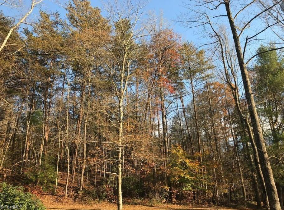 0 Mt Zion Road Ferguson, NC 28624 - Photo 4 of 8