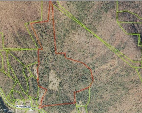 0 Mt Zion Road Ferguson, NC 28624 - Photo 6 of 8 Buck from deer cam