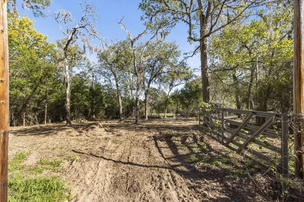 a view of a yard with large trees