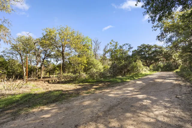 a view of dirt yard with a large tree