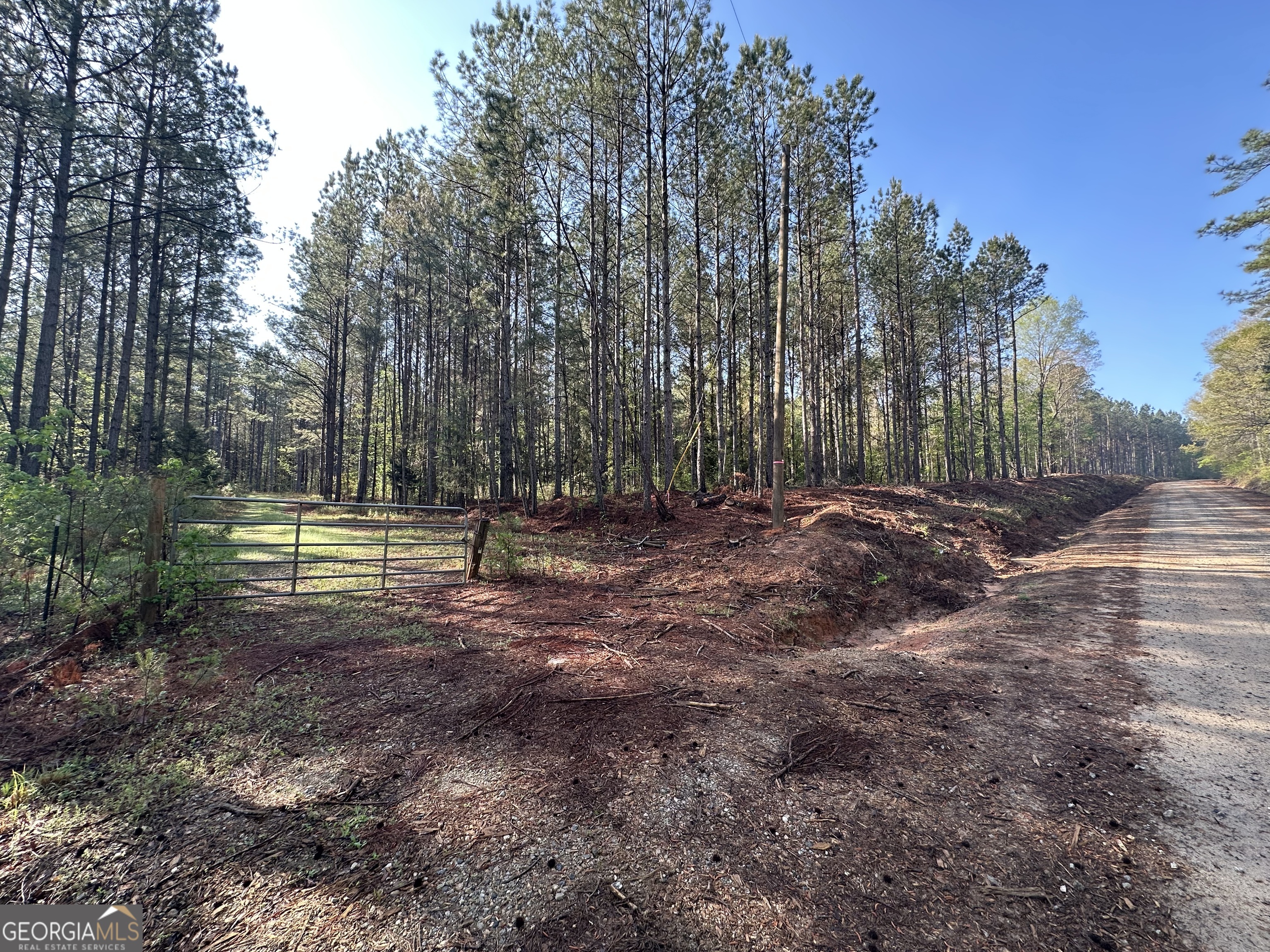 0 J W Dunn Road Warm Springs, GA 31830 - Photo 3 of 11 a view of a park with large trees