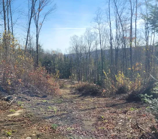 $110,000 | 0 Sutton Road, Lyndonville, VT 05851