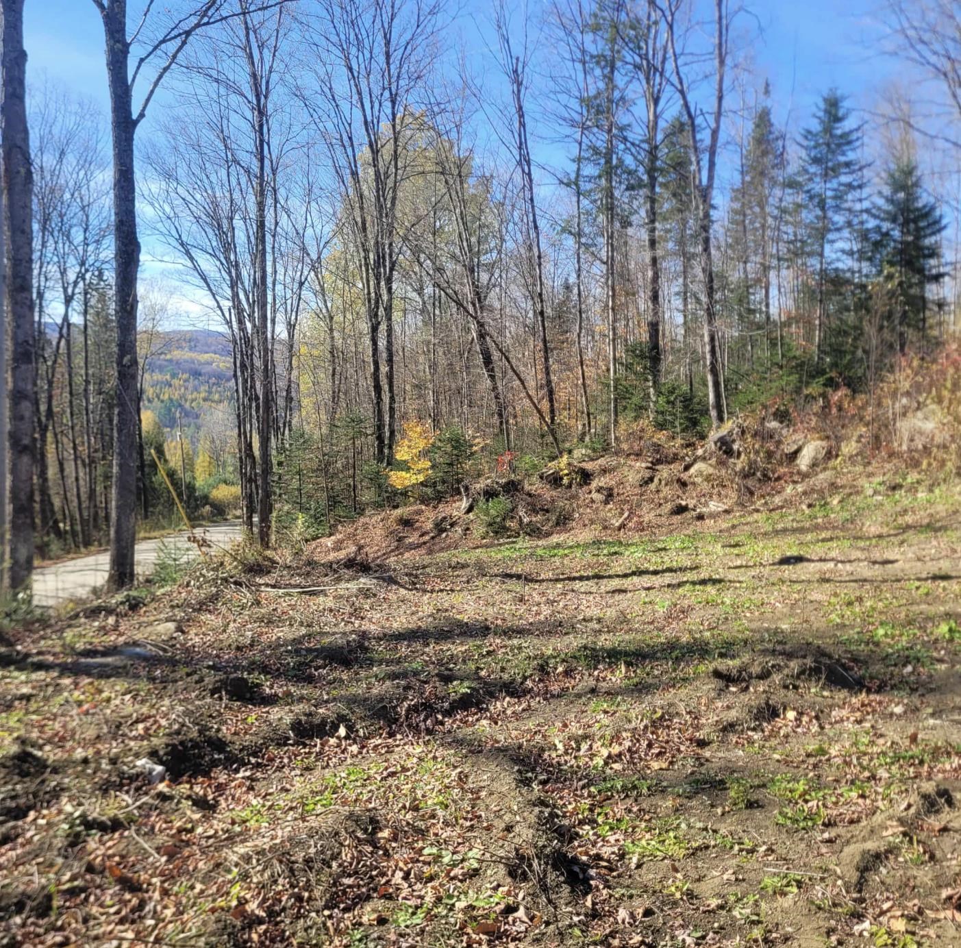 0 Sutton Road Lyndonville, VT 05851 - Photo 12 of 17