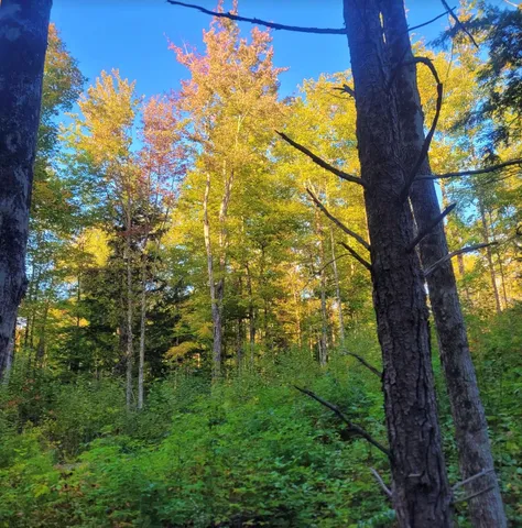 $110,000 | 0 Sutton Road, Lyndonville, VT 05851