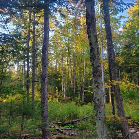 $110,000 | 0 Sutton Road, Lyndonville, VT 05851