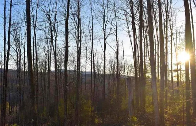 $110,000 | 0 Sutton Road, Lyndonville, VT 05851