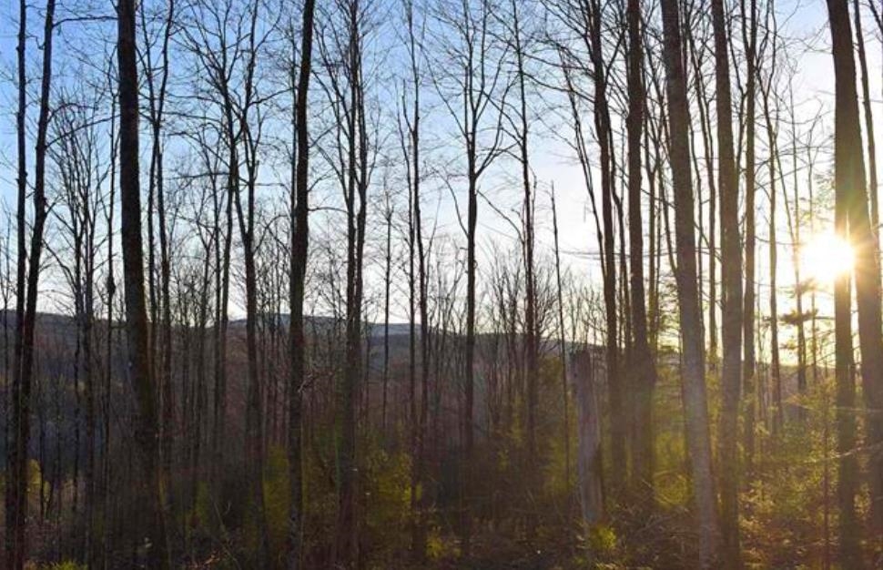 0 Sutton Road Lyndonville, VT 05851 - Photo 2 of 17