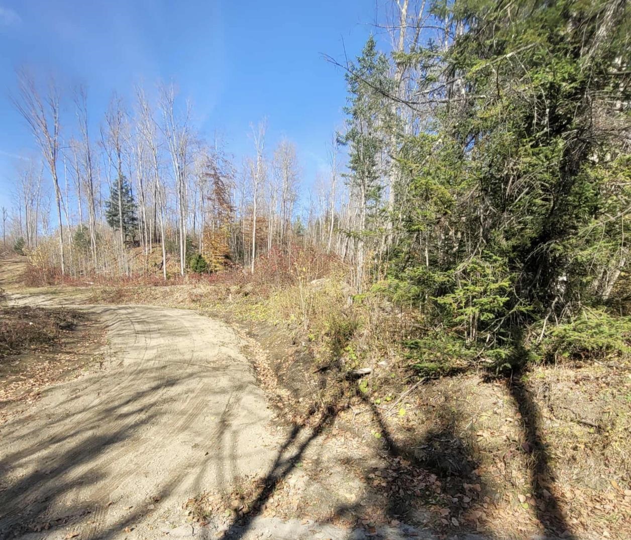 0 Sutton Road Lyndonville, VT 05851 - Photo 5 of 17