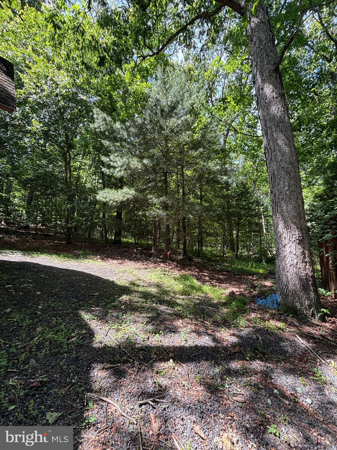 1349 Quaker Church Road Street, MD 21154 - Photo 4 of 77