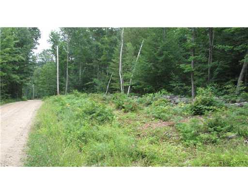 0 Dugway Road Brownfield, ME 04010 - Photo 11 of 12 Land/Lot. quiet town road