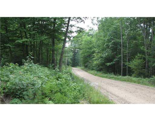 0 Dugway Road Brownfield, ME 04010 - Photo 12 of 12 Land/Lot.