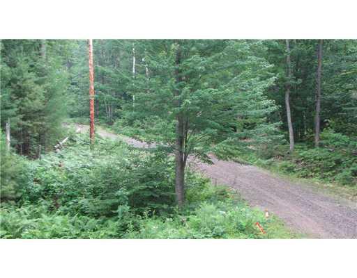 0 Dugway Road Brownfield, ME 04010 - Photo 3 of 12 Land/Lot.