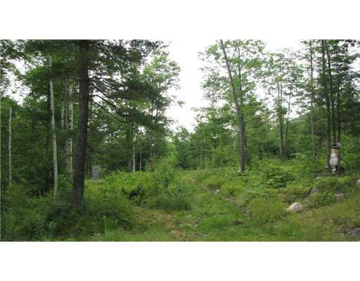 0 Dugway Road Brownfield, ME 04010 - Photo 6 of 12 Land/Lot.