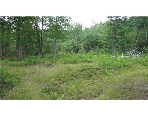 0 Dugway Road Brownfield, ME 04010 - Photo 7 of 12 Land/Lot.