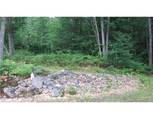 0 Dugway Road Brownfield, ME 04010 - Photo 8 of 12 Land/Lot.