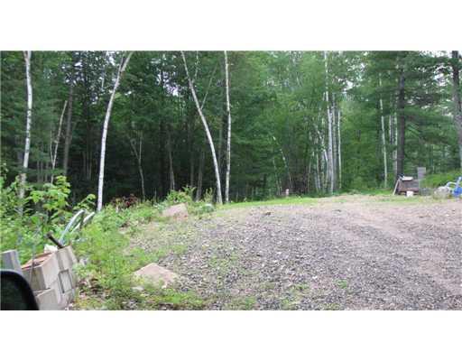 0 Dugway Road Brownfield, ME 04010 - Photo 9 of 12 Land/Lot. septic area