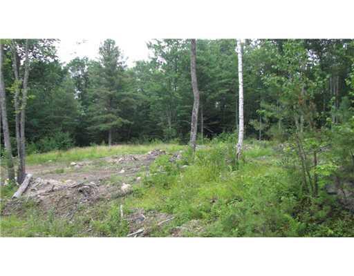 0 Dugway Road Brownfield, ME 04010 - Photo 10 of 12 Land/Lot. potential house site lot #3