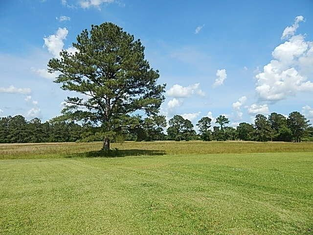 56 Tom Lewis Road Tylertown, MS 39667 - Photo 14 of 18 Photo 14