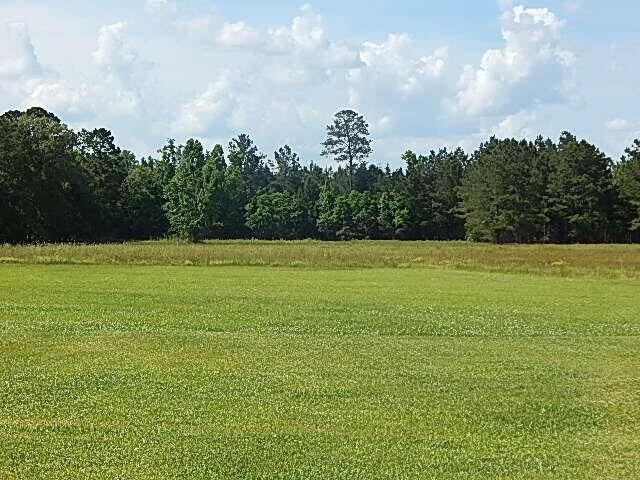 56 Tom Lewis Road Tylertown, MS 39667 - Photo 16 of 18 Photo 16