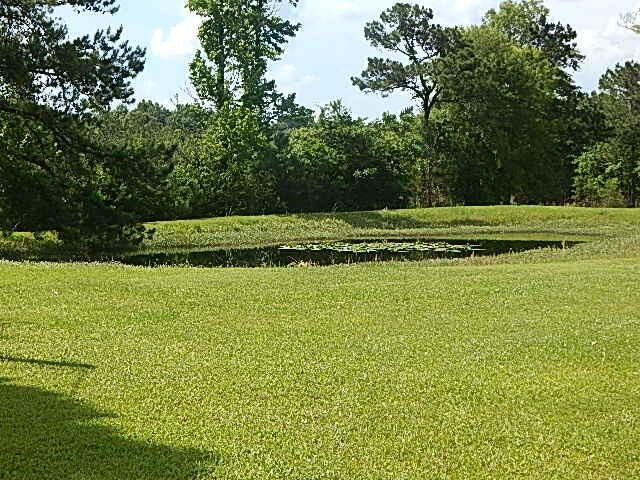 56 Tom Lewis Road Tylertown, MS 39667 - Photo 4 of 18 Photo 4