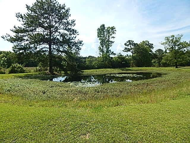 56 Tom Lewis Road Tylertown, MS 39667 - Photo 5 of 18 Photo 5