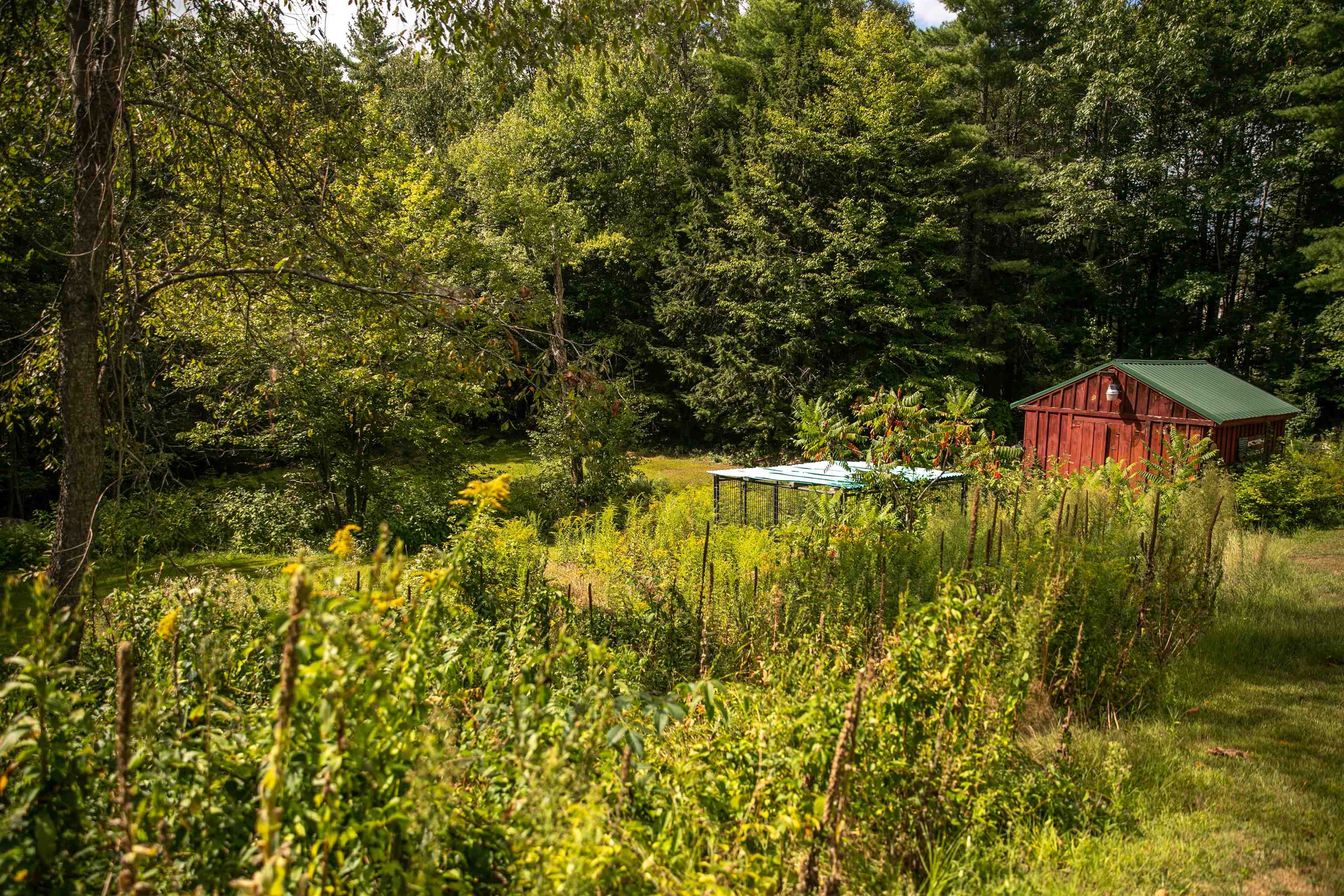 56 Drew Road New Durham, NH 03855 - Photo 44 of 52