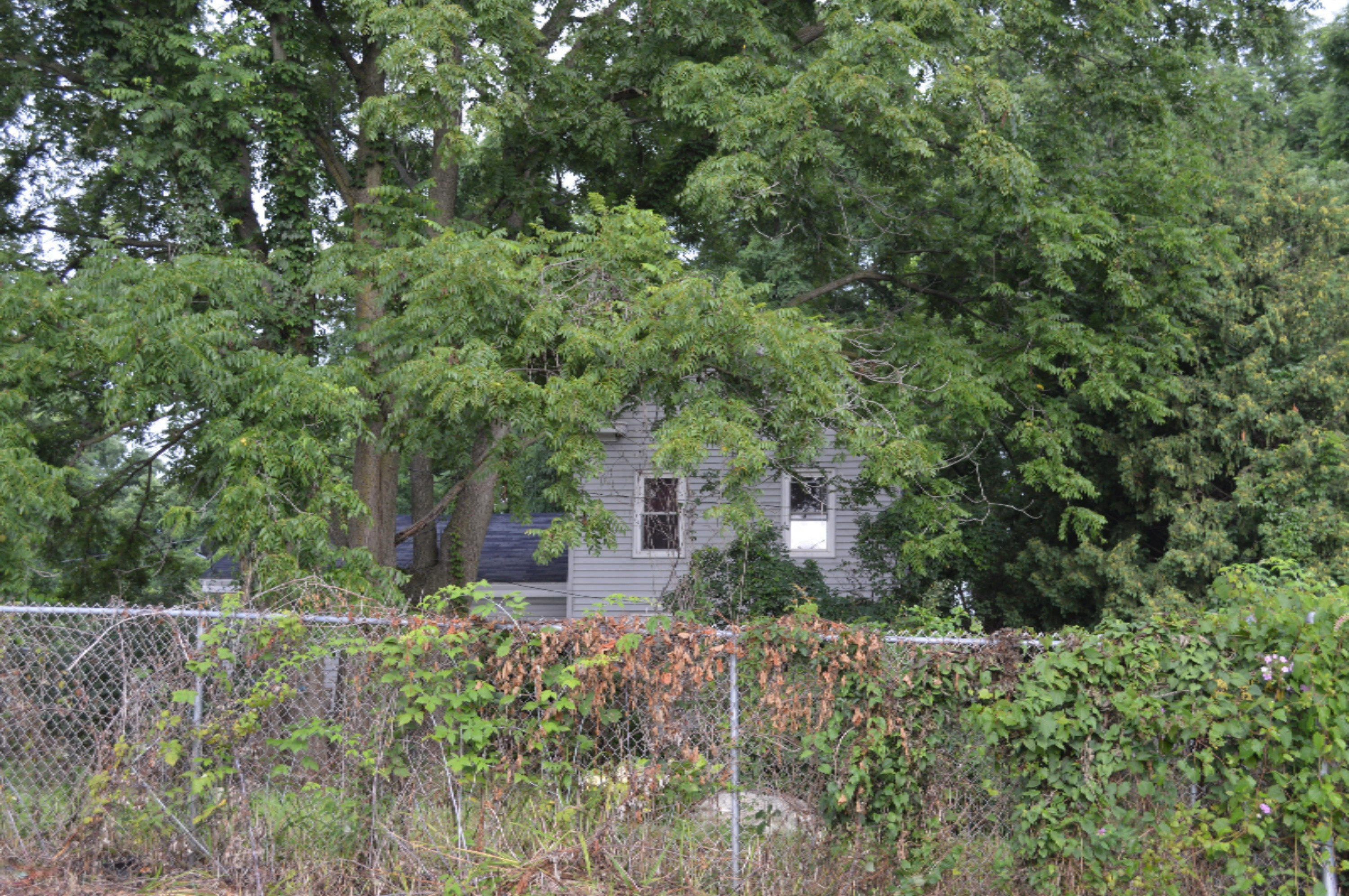 13675 Renton Road Battle Creek, MI 49015 - Photo 9 of 10 DSC_0796