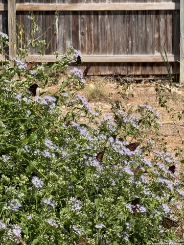 $499,995 | 300 Towne Vue Drive, Castle Hills, TX 78213