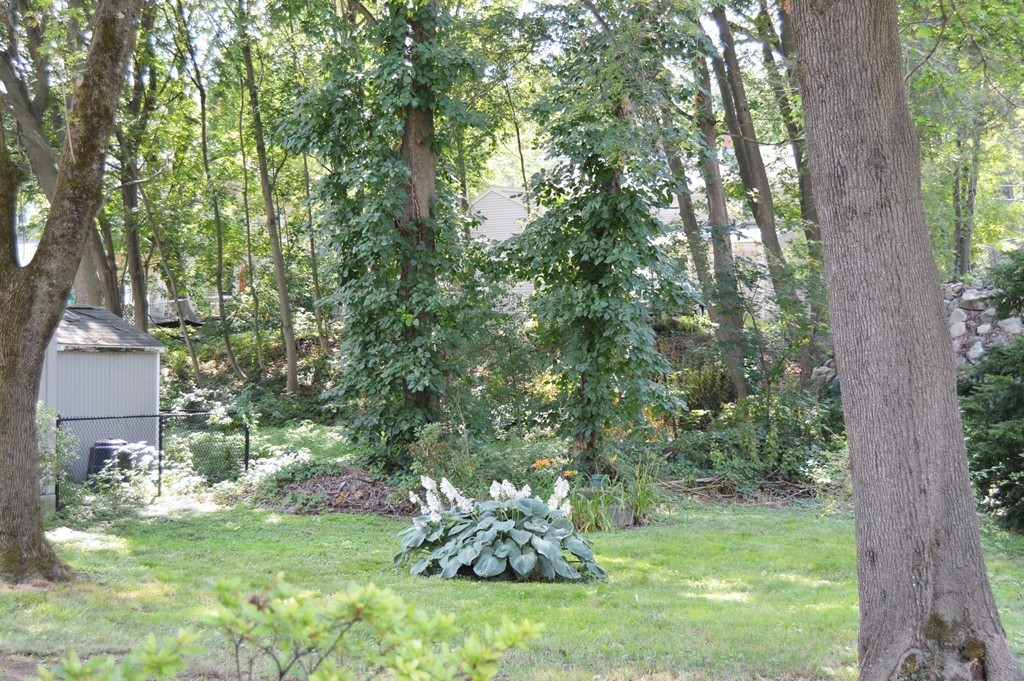 12 Curve Street Lexington, MA 02420 - Photo 11 of 15