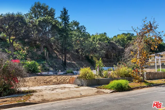 a view of a street with flower plants and next to a road
