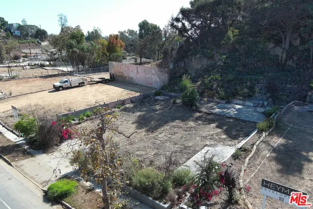 a view of a park with large trees