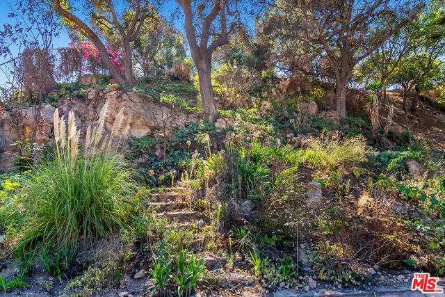 a picture of flowers