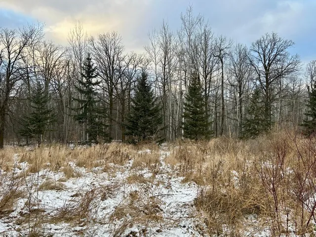 $299,900 | 10496 160th Street Northeast, Thief River Falls, MN 56701