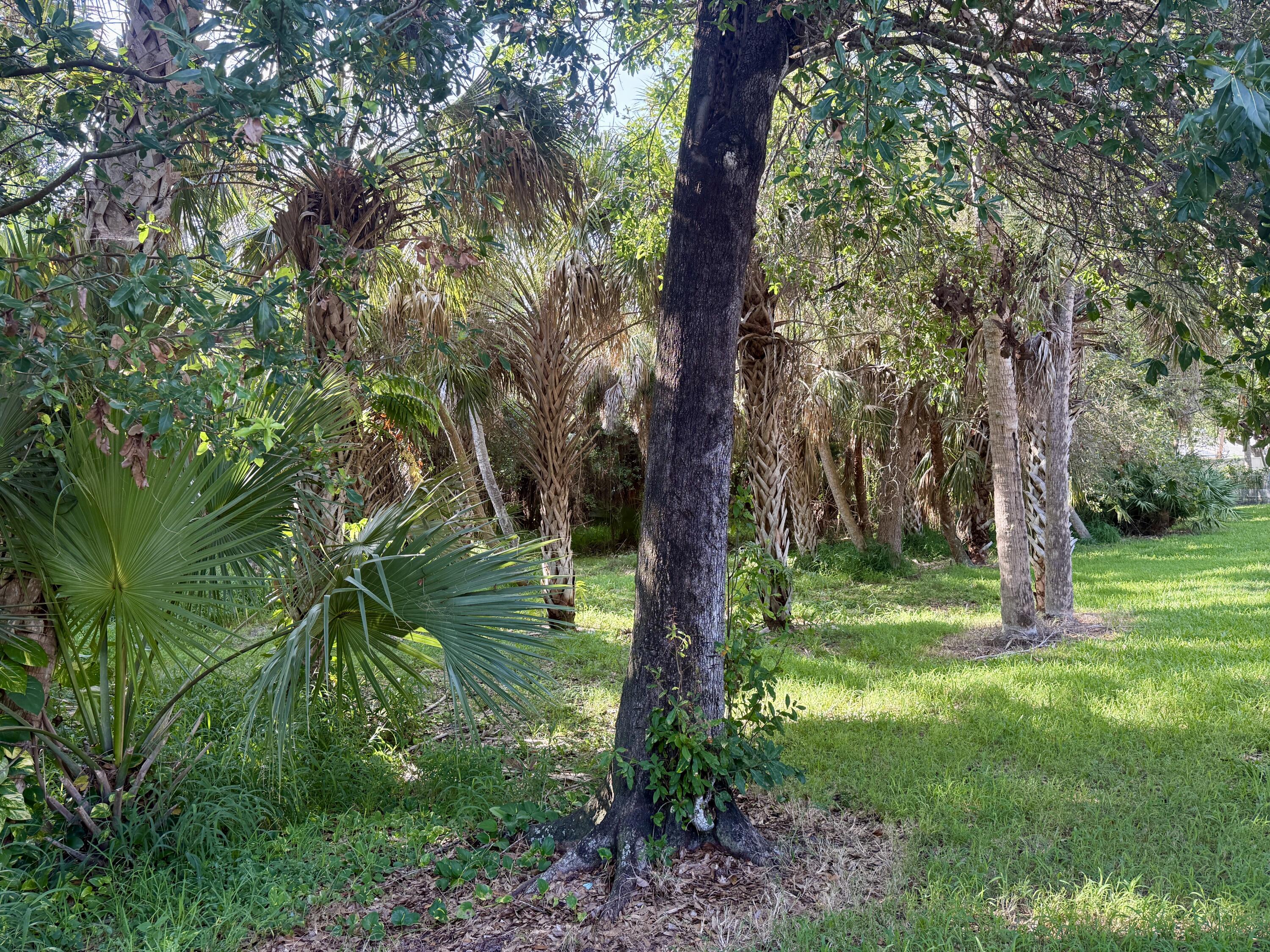 198 Hampton Circle Jupiter, FL 33458 - Photo 7 of 19 Privacy on Rare Preserve Location