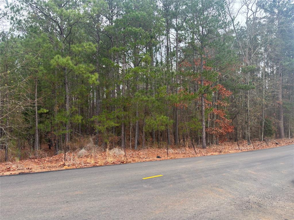 0 Clement Road Benton, LA 71006 - Photo 7 of 7