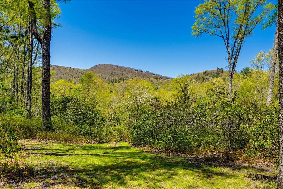 172 View Road Sapphire, NC 28774 - Photo 4 of 58 Gallery Image 4