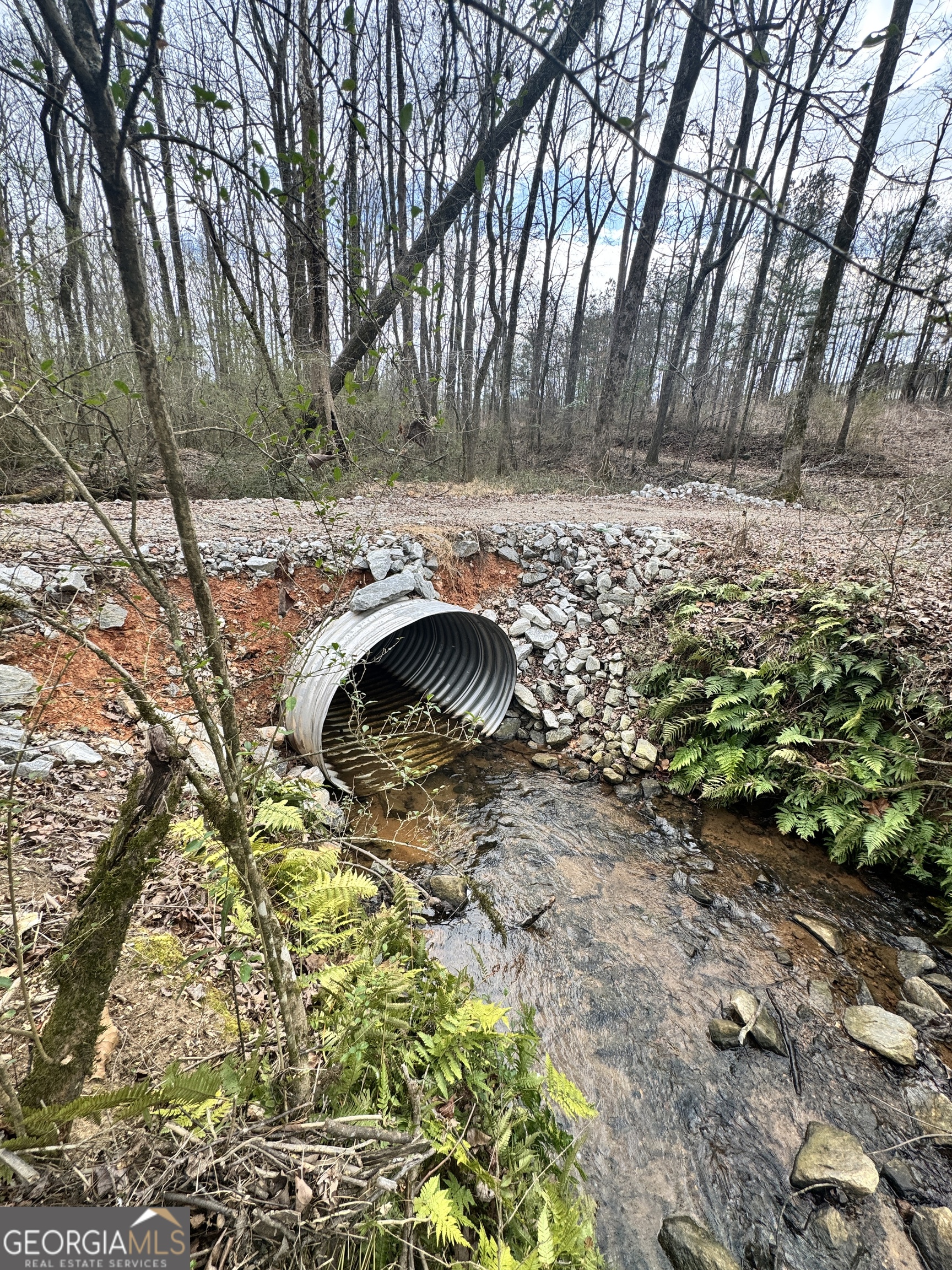 0 J B J B Owens Road Bethlehem, GA 30620 - Photo 14 of 28 a view of backyard with green space