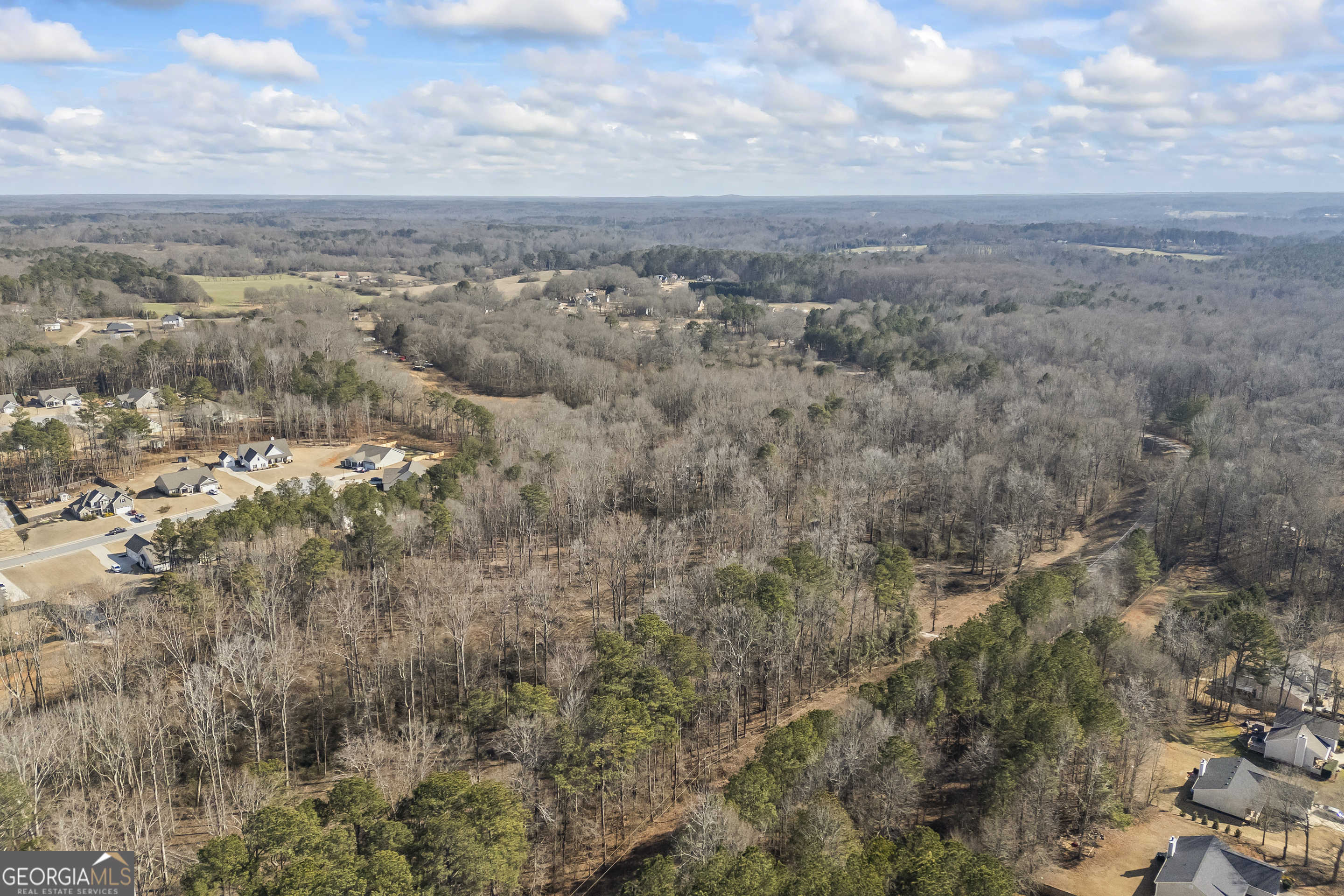 0 J B J B Owens Road Bethlehem, GA 30620 - Photo 16 of 28 a view of a big yard with lots of bushes