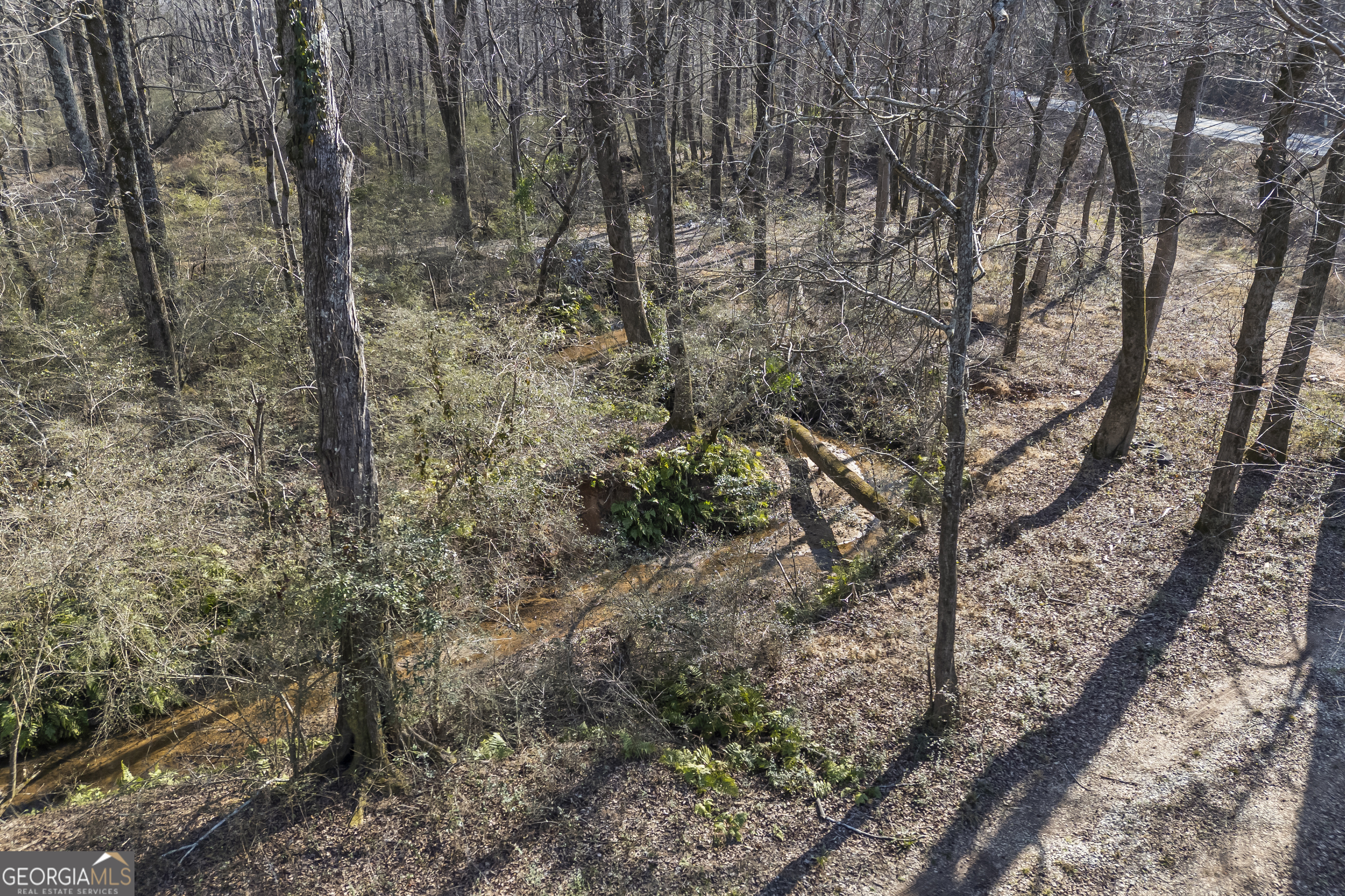 0 J B J B Owens Road Bethlehem, GA 30620 - Photo 22 of 28 a view of a forest that has large trees