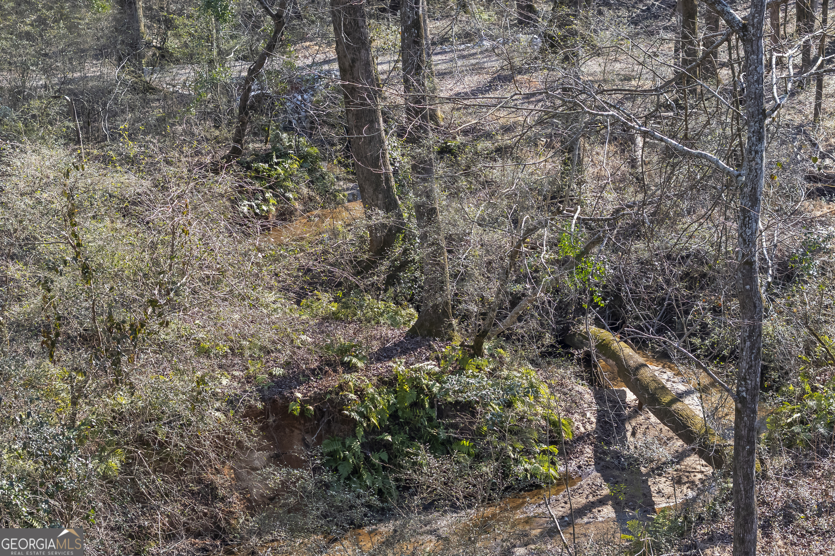 0 J B J B Owens Road Bethlehem, GA 30620 - Photo 23 of 28 a view of a forest that has a tree
