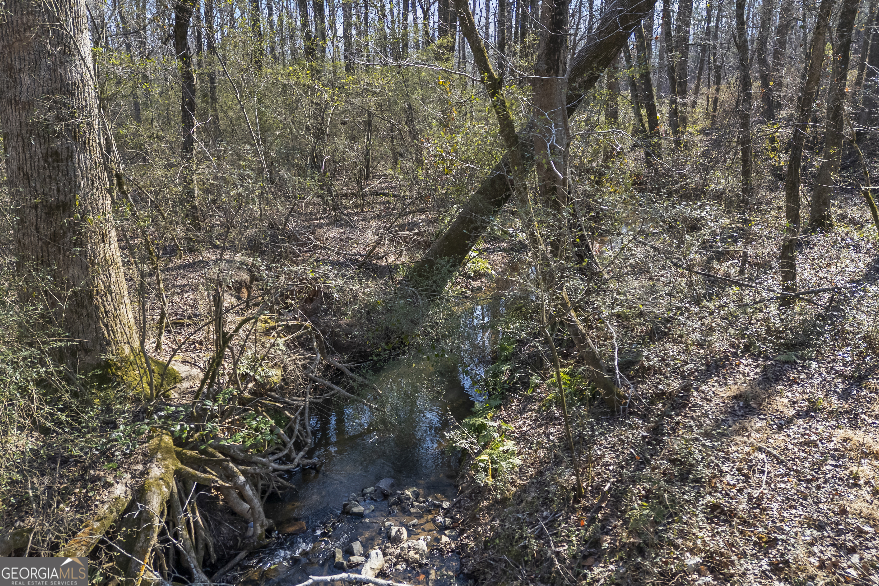 0 J B J B Owens Road Bethlehem, GA 30620 - Photo 24 of 28 a aerial view of a house with a yard