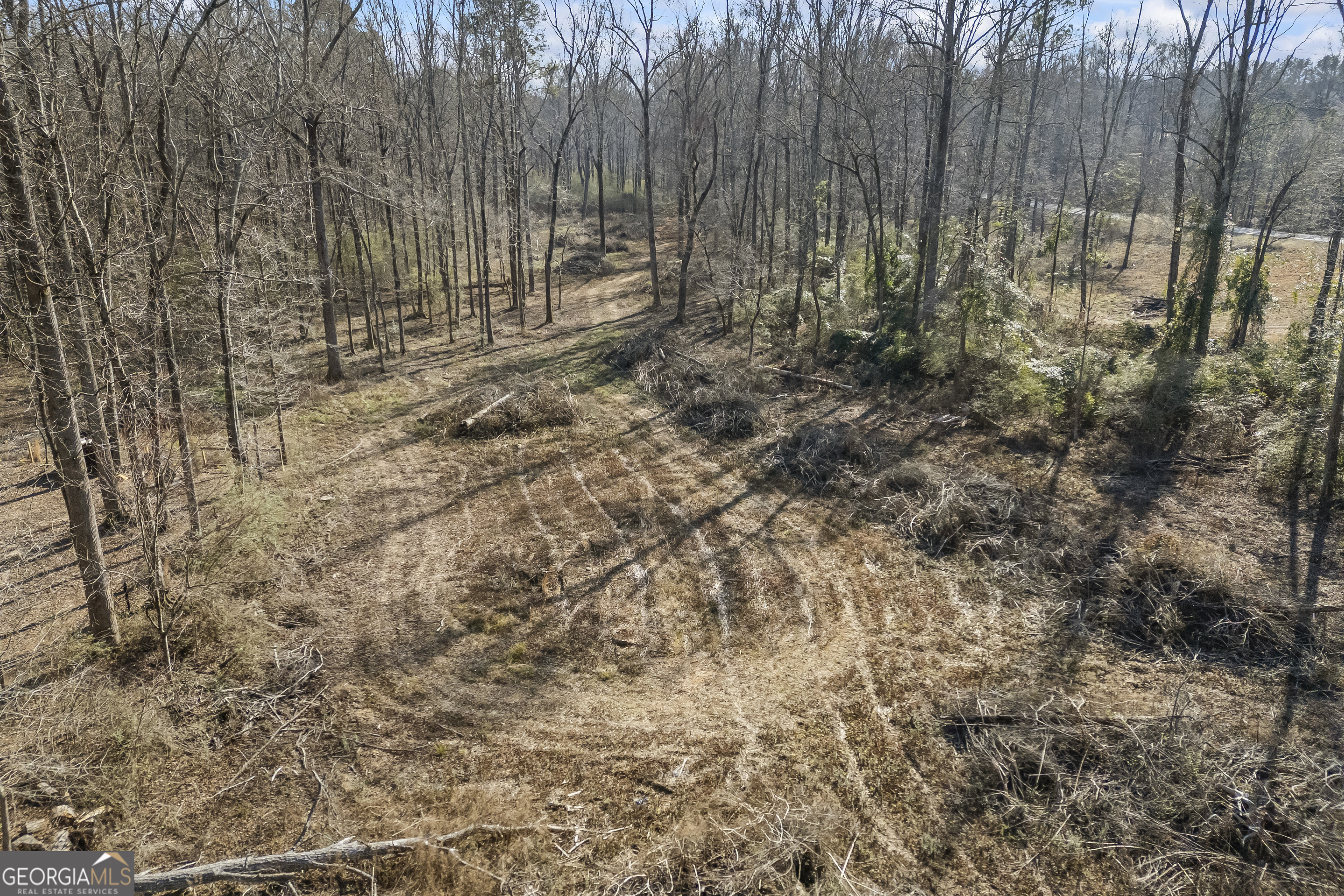 0 J B J B Owens Road Bethlehem, GA 30620 - Photo 27 of 28 a view of a backyard with trees